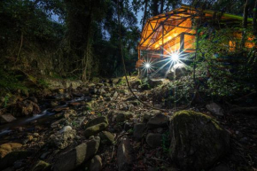 Matumi Trail Forest Lodges - Matumi and Mitzeeri